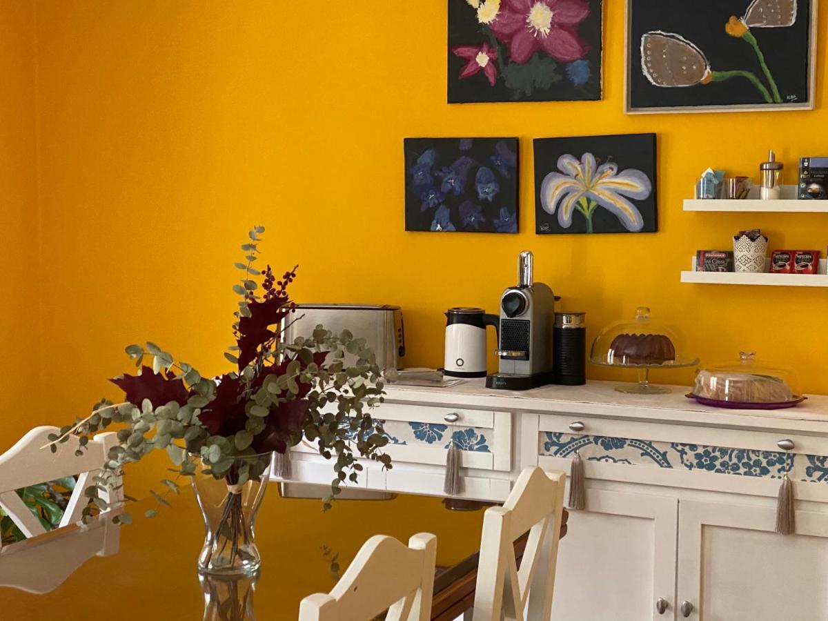 Apartamento La Biblioteca En Cuenca كوينكا المظهر الخارجي الصورة